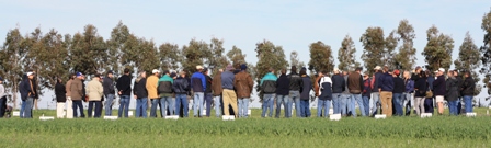 Looking at Herbicide trials