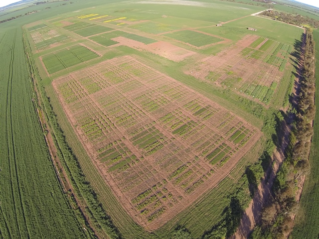 Aerial photo of the Hart trial site 2014