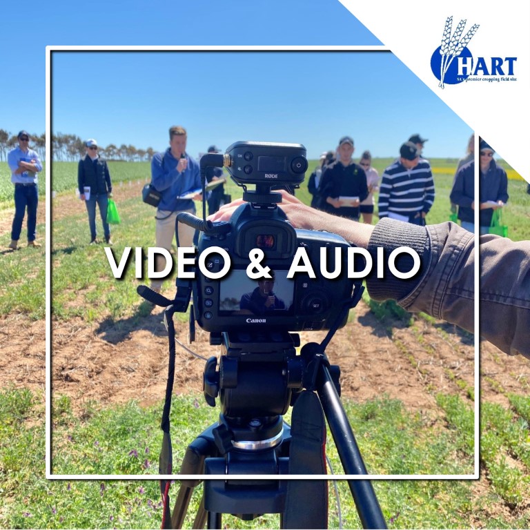Hart Field Day 2020 - Video and audio