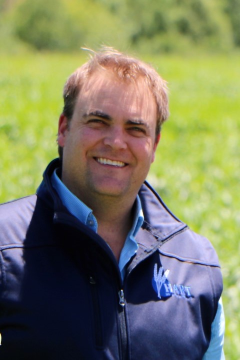 Damien Sommerville, Hart chairman