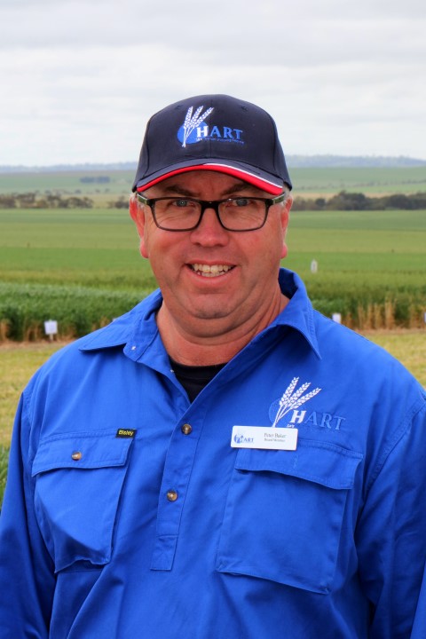 Peter Baker, Hart board member