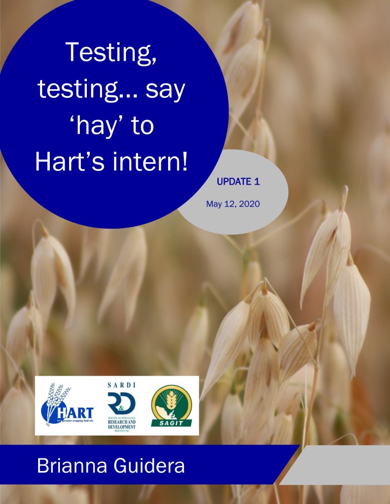 Testing, testing... Say 'hay' to Hart's intern - Brianna Guidera