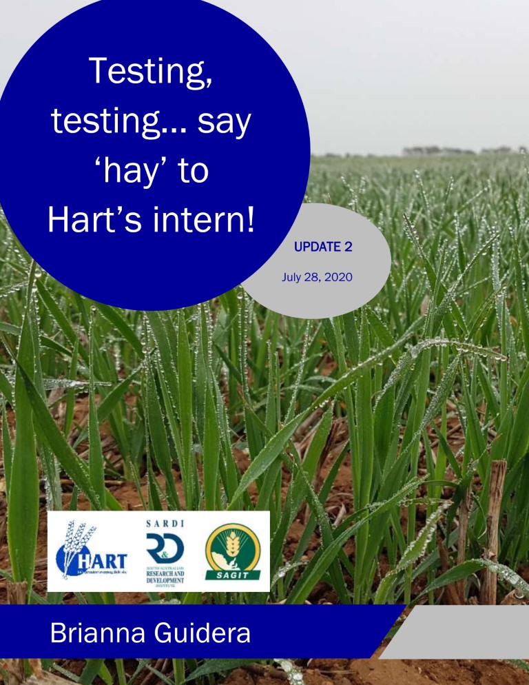 Testing, testing... Say 'hay' to Hart's intern - Brianna Guidera