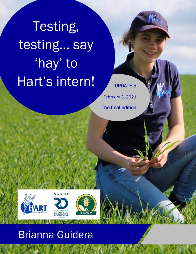 Testing, testing... Say 'hay' to Hart's intern - Brianna Guidera
