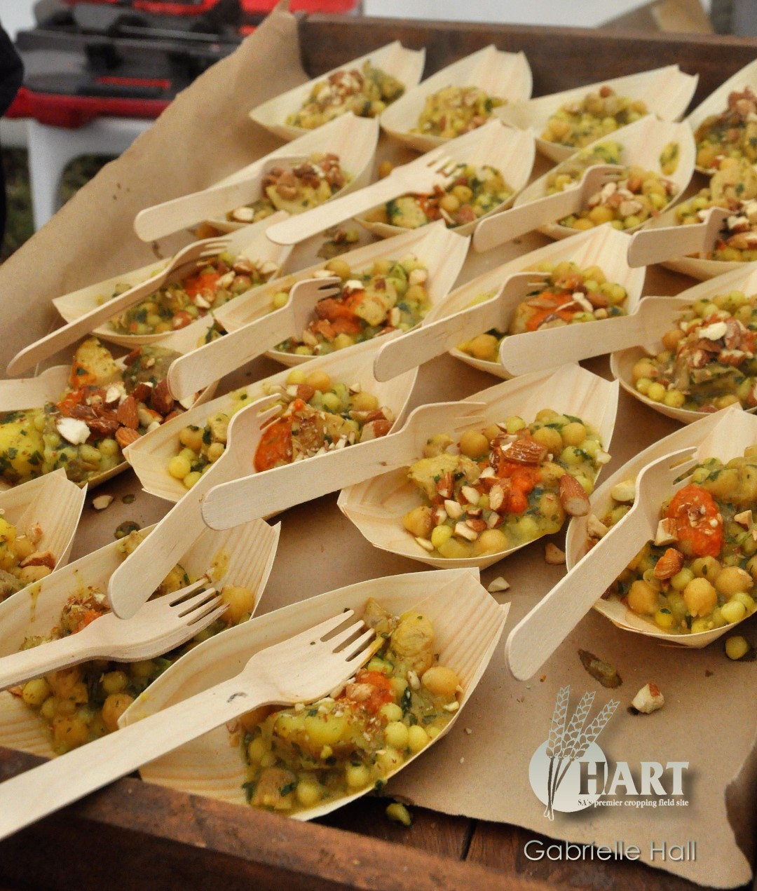 Simon Bryant's chicken tagine cooked at the Hart Field Day 2016