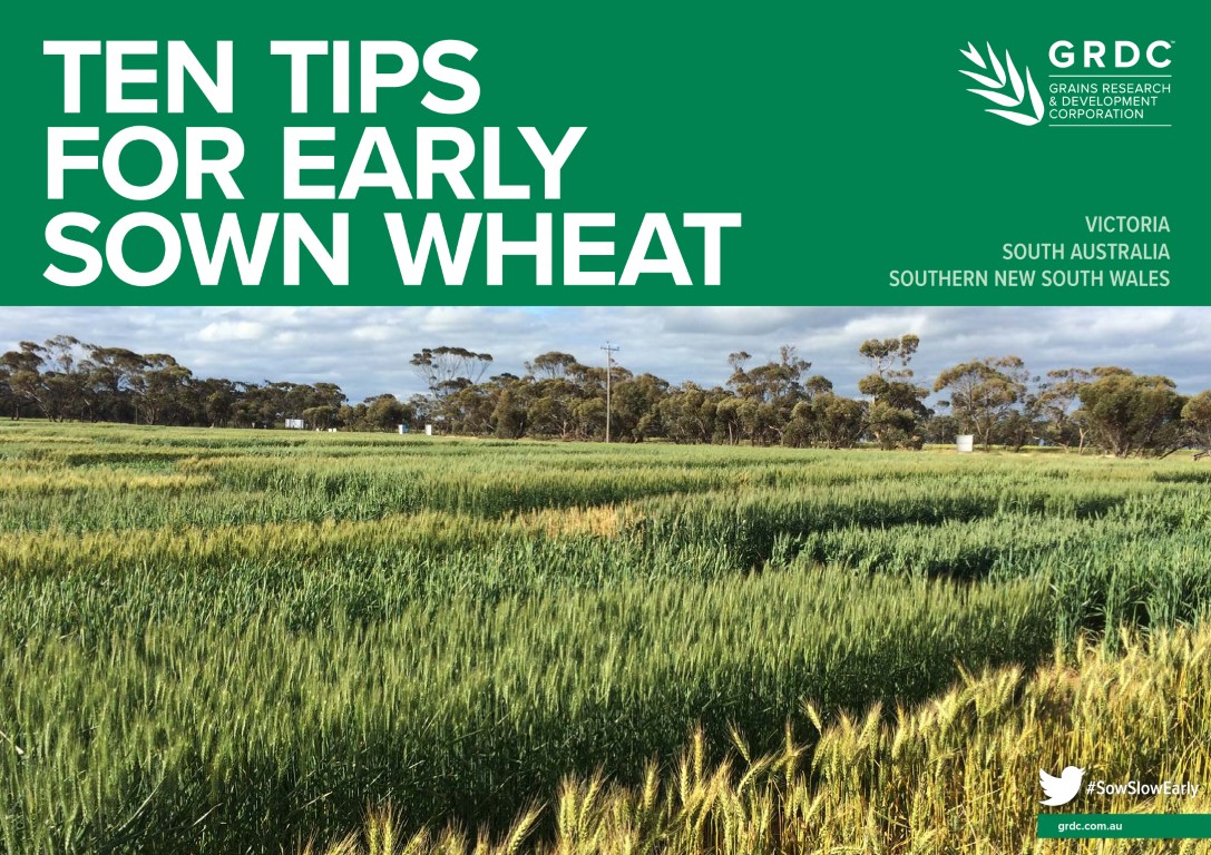 Ten tips for early sown wheat