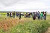Fenceline Weed Control with Dr Chris Preston