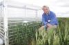Sowing Date & Flowering with Dr Glenn McDonald (next to a heat chamber demonstrating the effect of heat stress on wheat)