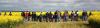 Canola Varieties with Trent Potter