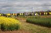 Fenceline Weed Control with Dr Chris Preston