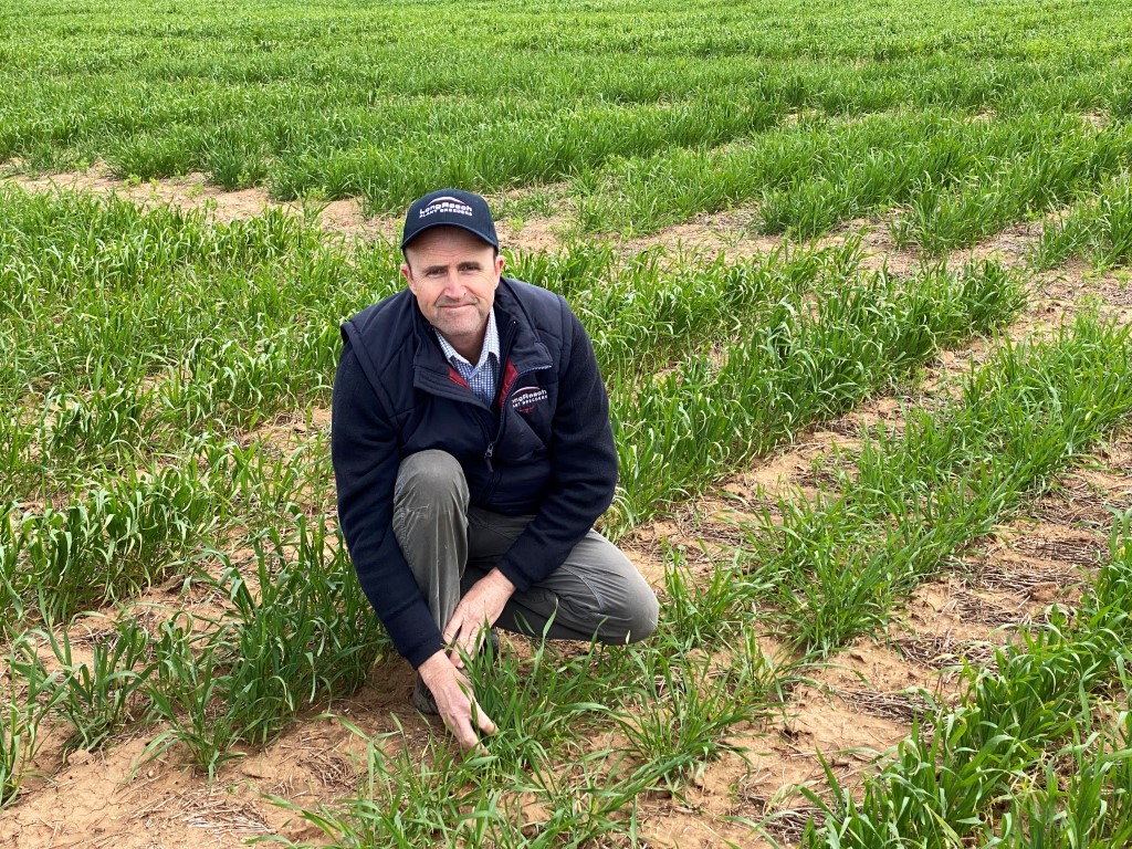 Colin Edmondson; LongReach Plant Breeders technical development manager