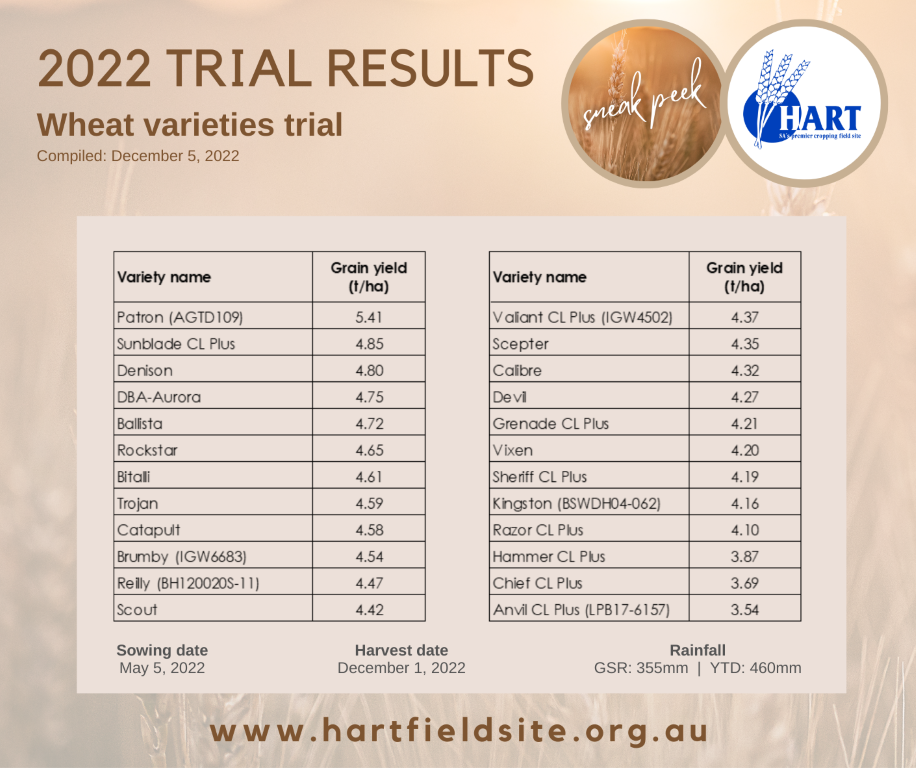 Hart 2022 Trial Results - Wheat varieties sneak peek