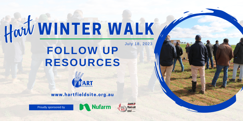 Hart Winter Walk - follow up resources