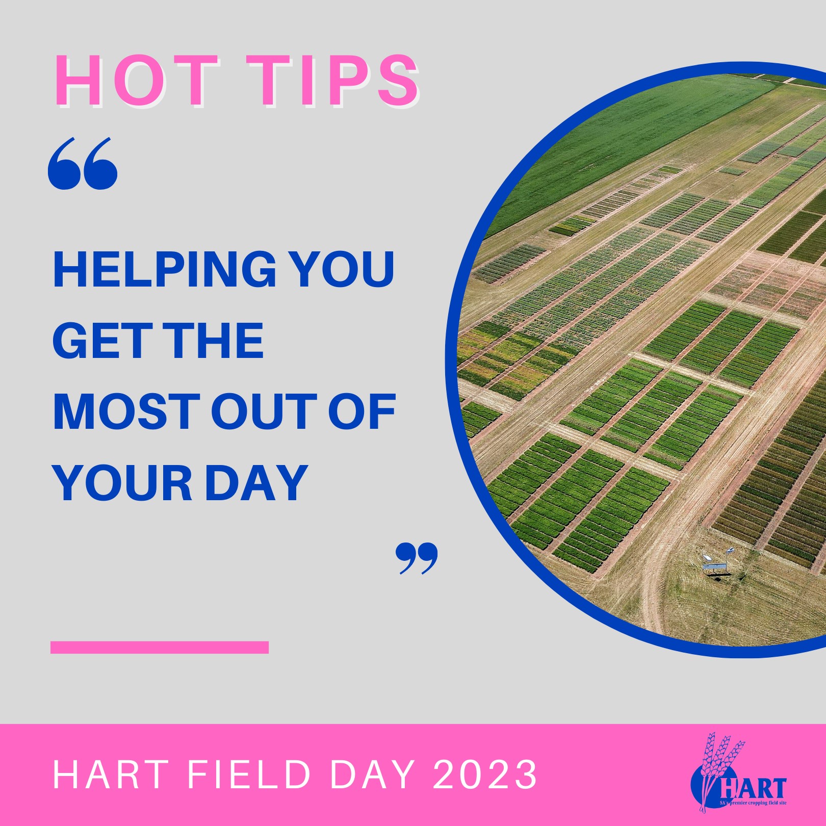 Hart Field Day 2023 - Hot Tips