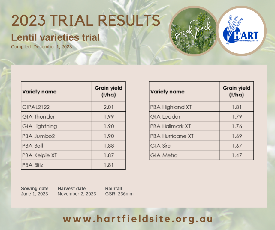 Hart Trials Results 2023 - Lentil varieties 'sneak peek'