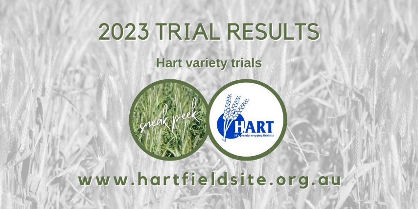Hart 2023 Trial Results - Variety trial sneak peek out now
