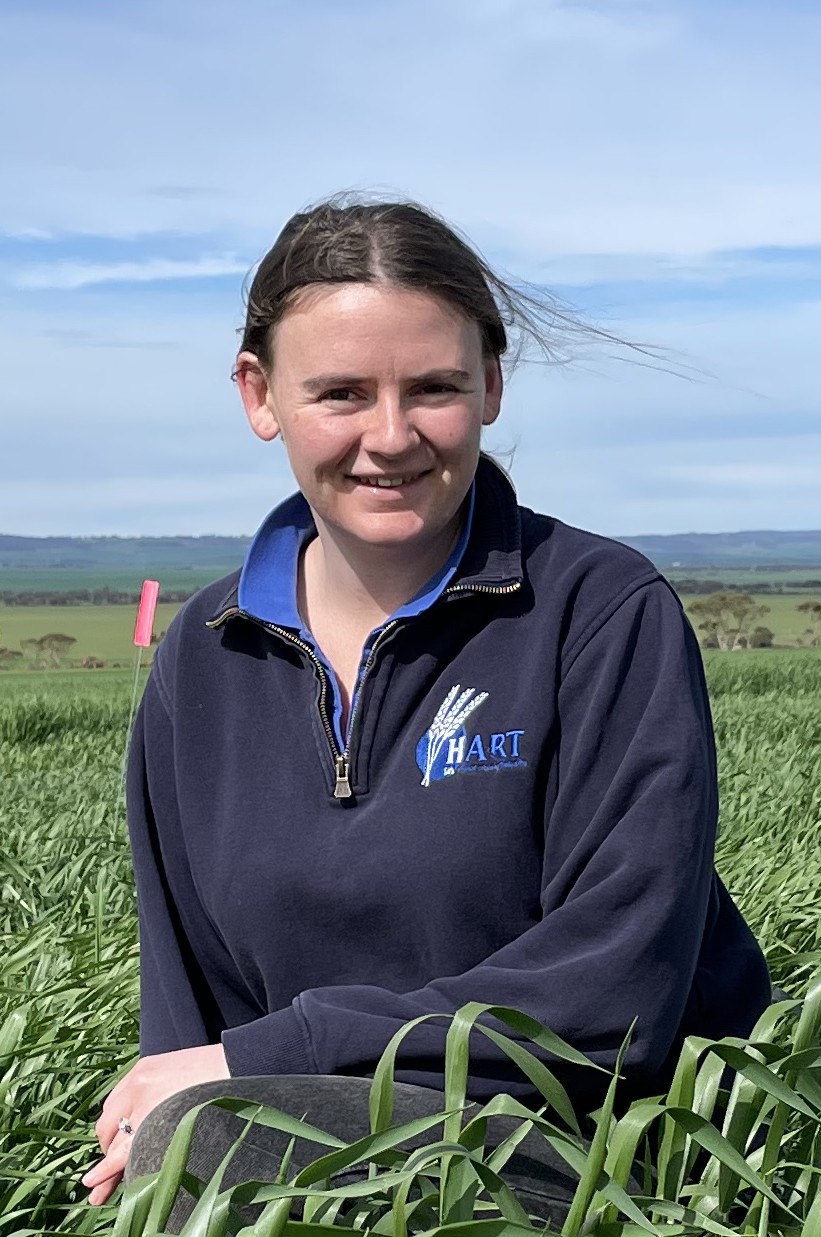 Declan Anderson, Hart's regional intern