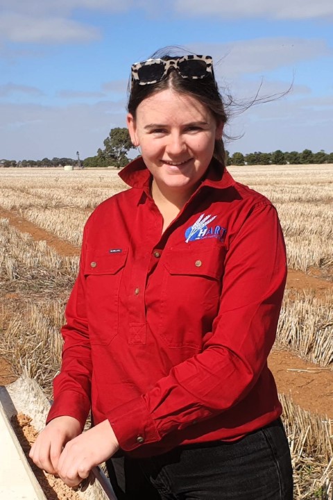 Declan Anderson, Hart's regional intern