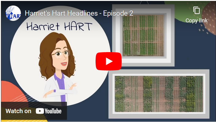 Harriet's Hart Headlines by Hart regional inten, Kaidy Morgan
