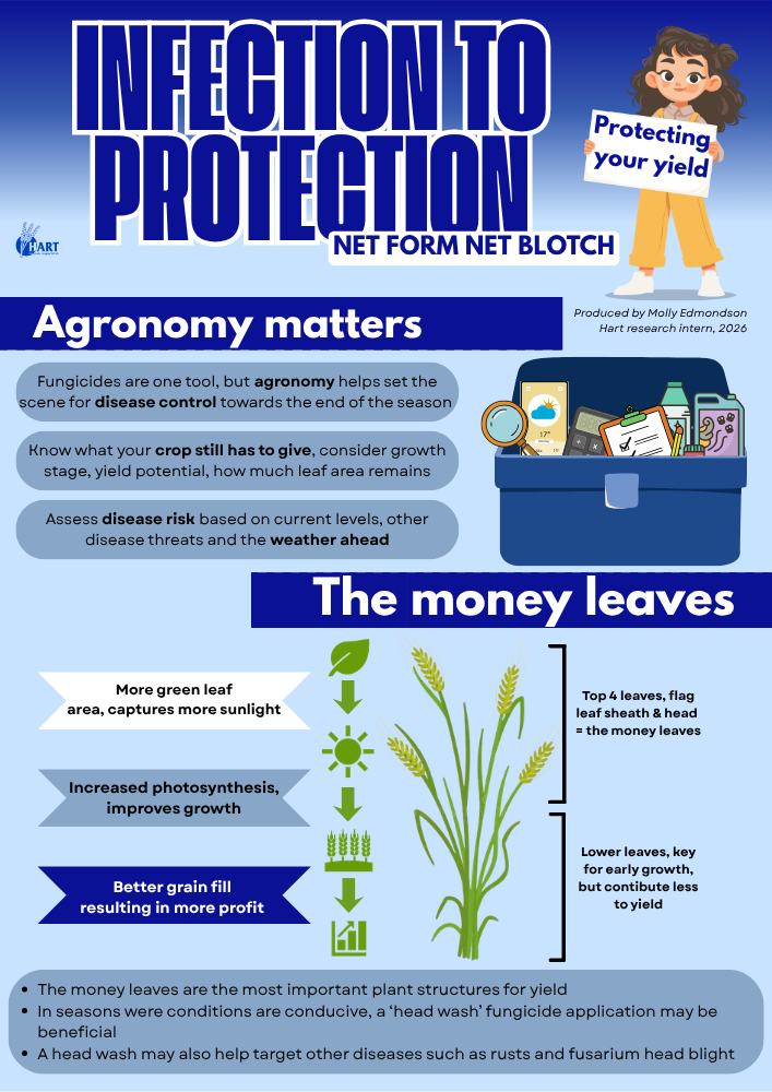 Infection to Protection - NFNB - Issue 4