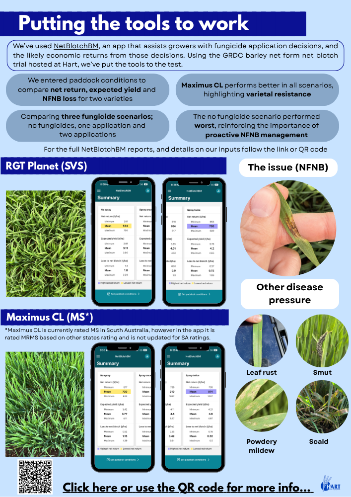 Infection to Protection - NFNB - Issue 4