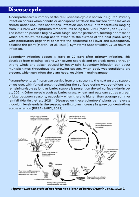 Infection to Protection - NFNB - More detailed info