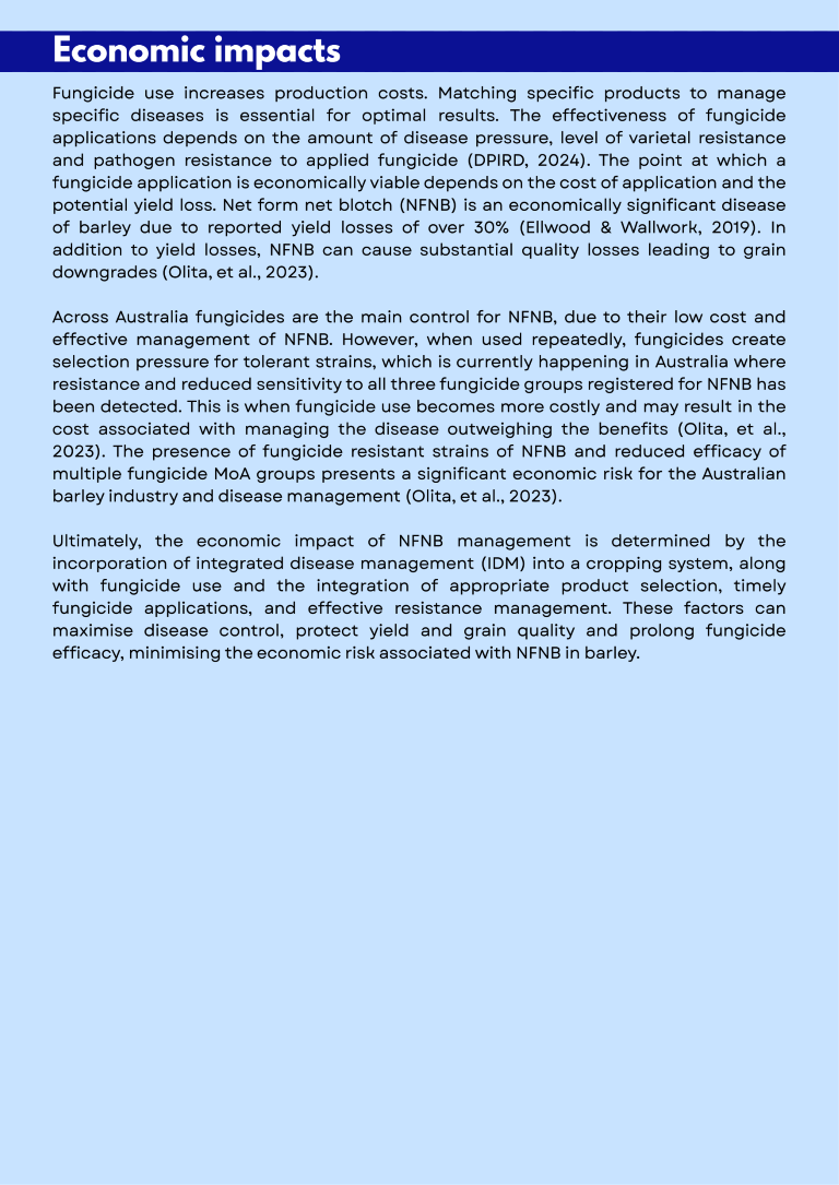 Infection to Protection - NFNB - More detailed info